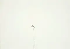 Jan Groth, Komposisjon, 1986, Kullstift på papir