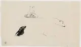 Edvard Munch, Sel og isbjørn, Litografi trykket i svart på tykt japanpapir