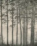 Harald Sohlberg, Fiskerens hus, Radering