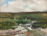 Kitty Lange Kielland, Torvmyr