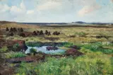 Kitty Lange Kielland, Torvmyr