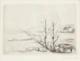 Edvard Munch, Norsk landskap, Radering trykket i svart på middels tynt gulhvitt papir