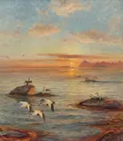 Thorolf Holmboe, Sjøfugl i midnattssol