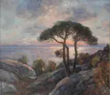Thorolf Holmboe, Midnattsol Nordland