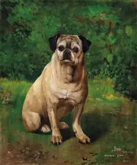 Halfdan Gran, Mopsen Bob, 1902, Olje på lerret