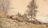 Amaldus Nielsen, Torskeskjær, Budokken ved Skogsfjord