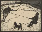 John Savio, Lasso