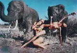 Peter Beard, Abu Camp & Jack’s Camp
