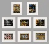 Paul Huf, set van 8 C-Print Foto’s “Butterflies”., 1985, C-Print Foto’s “Butterflies”