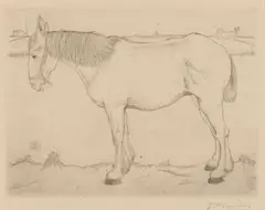 Jan Mankes, Staand Paard 1917 (Ets), 1917, Etching