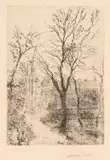James Ensor, Sentier à Groenendael circa 1889 (Ets), Etching on paper