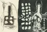 Jan Montyn, Untitled, 1966, Etching Edition 2 of 10 Signed by the artist and