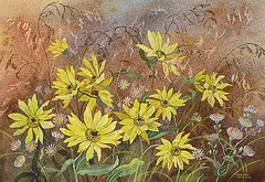 Annora Brown, Untitled - Perennial Sunflowers, watercolour on paper