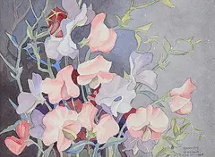 Annora Brown, Untitled - Sweet Pea Flowers, 1946, watercolour on paper