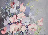Annora Brown, Untitled - Sweet Pea Flowers, 1946, watercolour on paper
