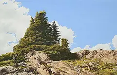 Simon H. Camping, Summer Day, Wilcox Meadows, acrylic on paper