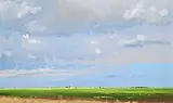 Terry Lynn Fenton, Playground Near Davidson, Sask., 2005, oil on paper