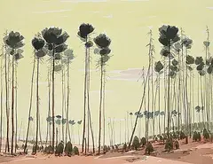 Luke Orton Lindoe, Untitled - Tall Trees, 1988, watercolour on paper