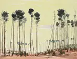 Luke Orton Lindoe, Untitled - Tall Trees