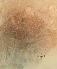 Marjorie Pigott, Untitled - Three Flowers, watercolour on paper