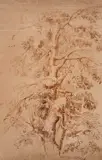George Richmond Ra, Study Of A Tree (Recto); Caricature Heads In Profile (Verso), pen and brown ink on paper - recto