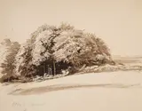 George Richmond Ra, Trees And Bushes, Otford Mount, pen and brown ink and brown wash on wove paper