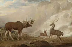 George Garrard, The Earl Of Orford’S Elk From Norway, His Antelope From Africa And His Stag From Prince's Island, oil on canvas