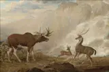 George Garrard, The Earl Of Orford’S Elk From Norway, His Antelope From Africa And His Stag From Prince's Island, oil on canvas