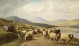 William Sidney Cooper, Sheep By A Loch, oil on canvas