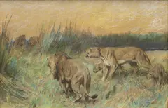 Arthur Wardle, The Rival Pride, charcoal and pastel on buff paper