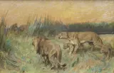 Arthur Wardle, The Rival Pride, charcoal and pastel on buff paper