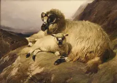 Thomas Sidney Cooper Ra, A Sheep With Two Lambs Resting On A Mountainside, oil on panel