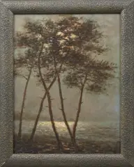 Vincent Ambrosini, bomen aan het meer bij maanlicht, oil on board