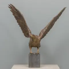 Rosita Sikking Reeberg, Bronzen buizerd, 'Bronze Buzzard'