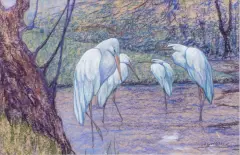 Albert Klein Sprokkelhorst, vier zilverreigers in het water, pastel