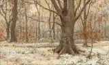 Sina Mesdag-van Houten, winters bosgezicht, 1874, oil on canvas