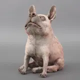 Peter Vanbekbergen, zittend hondje, ceramic