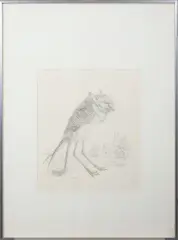 Peter Vos, Vleermuis / Musplumatus, lithograph 62/80