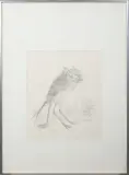 Peter Vos, Vleermuis / Musplumatus, lithograph 62/80