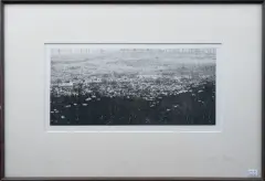 Reinder Homan, veld met bomenrij, etching 14/24