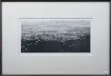 Reinder Homan, veld met bomenrij, etching 14/24