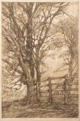 Aart Bijl, bomen langs stadswal, 1923, etching