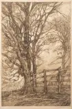 Aart Bijl, bomen langs stadswal, 1923, etching