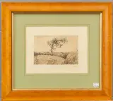 Paul Arntzenius, landschap met rietkragen en boom, etching