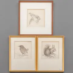 Cees Roorda, drie werken: 'Jonge haas, pencil on paper