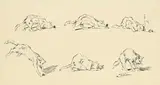Théophile Steinlen, Chat chassant une souris
