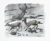 Robert Hainard, Cerf et biches dans la pénombre