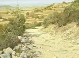 Luc Didier, Chemin à Rousset les Vignes, huile sur toile