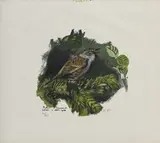 Mouchet by Robert Hainard, 1983, bois gravé, sold Sep 2023