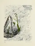 Perce-neige by Robert Hainard, 1983, bois gravé, sold Sep 2023